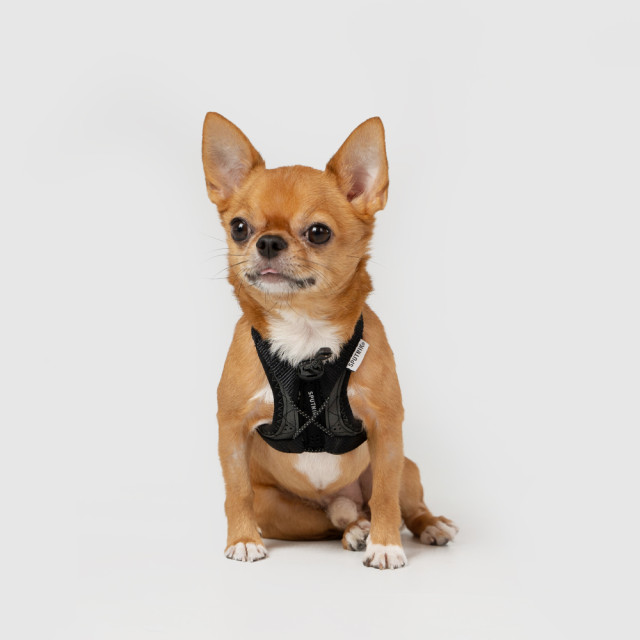 Ultra Explore | Harness
