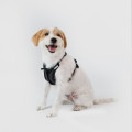 Ultra Explore | Harness