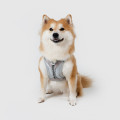 Ultra Explore | Harness