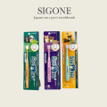 SigOne Toothbrush