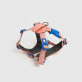 10th Year Anni︱Harness