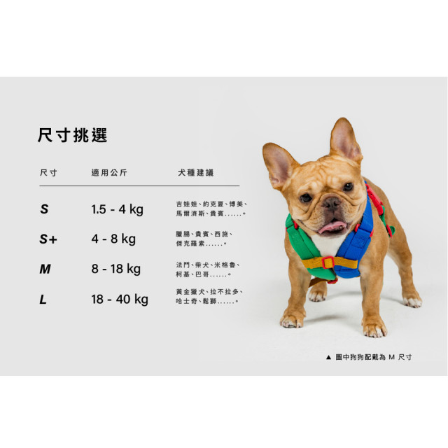 10th Year Anni︱Harness