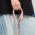 10th Year Anni | Leash