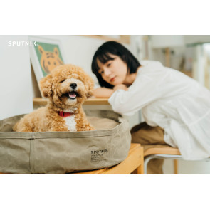 Military Reversible Bed - Khaki