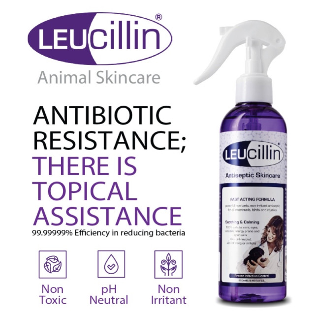 Leucillin Antiseptic Skincare