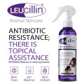 Leucillin Antiseptic Skincare