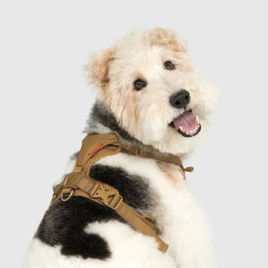 Ultra Explore | Harness