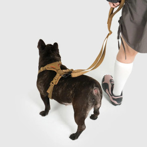 Ultra Explore | Leash