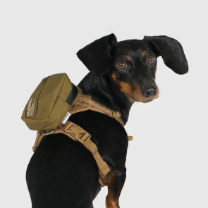 Explore | Clean Bag Mini
