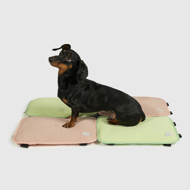 Explore | Ice Pack Mat