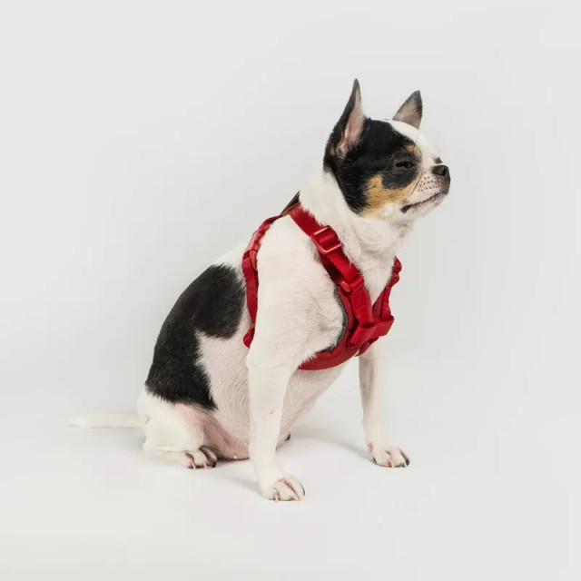 Explore | Harness