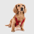 Explore | Harness