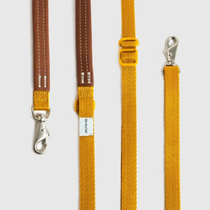 Explore | Leash